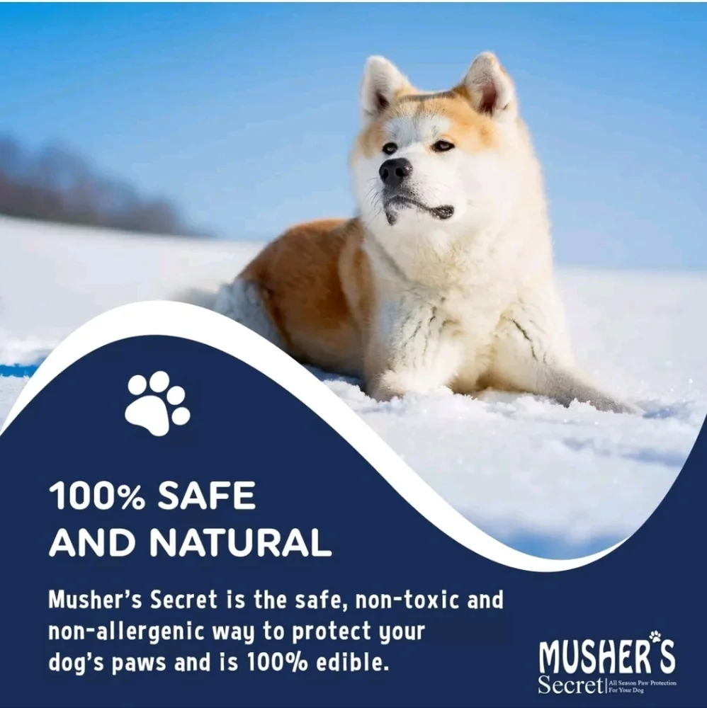 Dog Paw Wax 200 g (7oz) - Moisturizing Dog Paw Balm‎ Mushers New